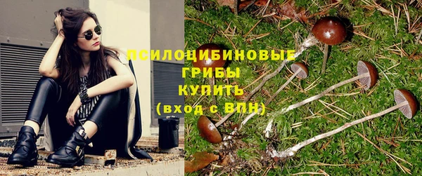 спиды Майский