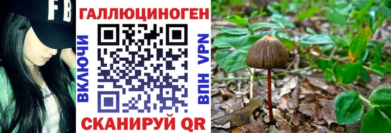 купить наркотики цена  Мелеуз  блэк спрут сайт  Псилоцибиновые грибы Psilocybe 