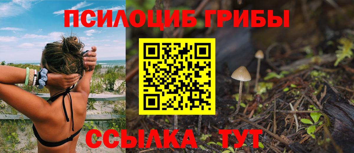 Мелеуз  Псилоцибиновые грибы Magic Shrooms  Вход с VPN 