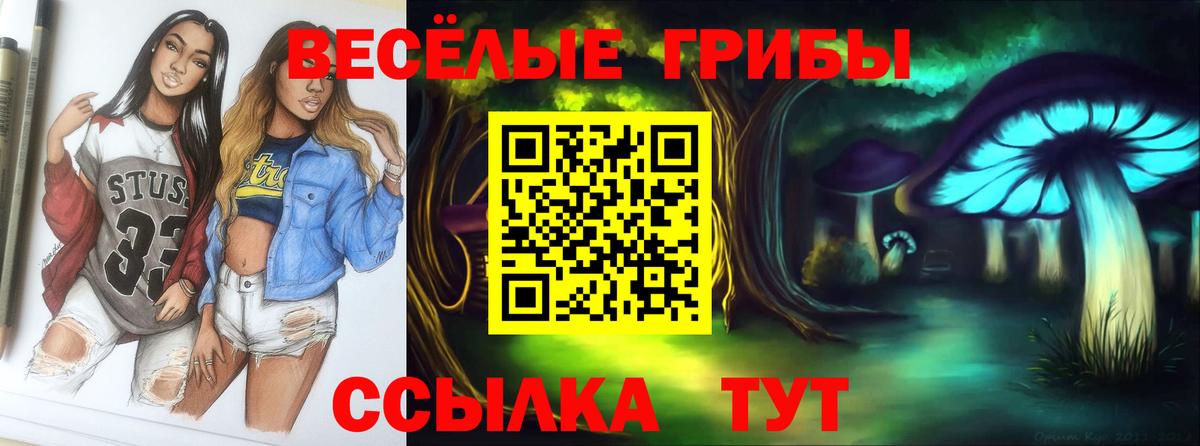 Галлюциногенные грибы Psilocybe Мелеуз