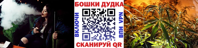 Бошки Шишки Amnesia  купить наркотики сайты  Мелеуз 